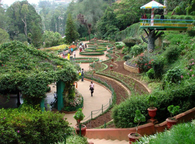 Government Botanical Gardens, Ooty, Nilgiris district, Coimbatore, Tamil Nadu - Vushii.com